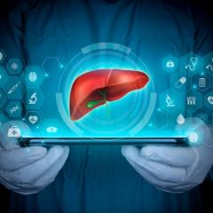 A doctor projects a human liver on a tablet, using AI to assess cancer treatment success.