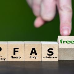 Wooden blocks spell PFAS and a finger turns a block that says ‘free’. We need to remove PFAS from health.