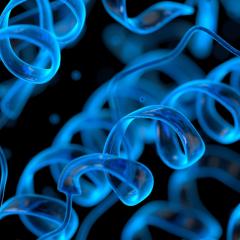 A blue, coil-shaped protein structure. LIGAND-AI is accelerating protein research and drug discovery.