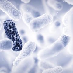 3D illustration of anti-microbial resistance. Image by nobeastsofierce via Shutterstock. 3D illustration of anti-microbial resistance. Image by nobeastsofierce via Shutterstock.