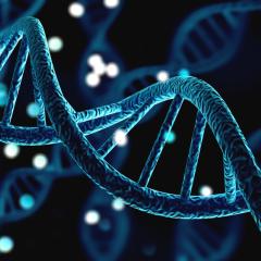 Illustration of a blue DNA helix. Image by Billion Photos via Shutterstock.