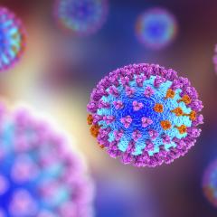 An illustration of the influenza virus. Image by Kateryna Kon via Shutterstock.