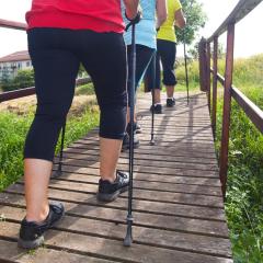 A group of three senior people doing Nordic walking on a wooden boardwalk in the countryside. Image by Jenny Sturm via Shutterstock.