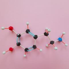 Model of a dopamine molecule by Danijela Maksimovic shutterstock