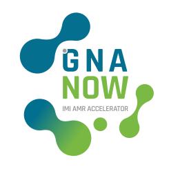 GNA NOW logo