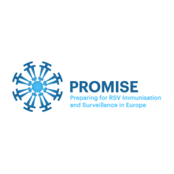 Promise logo